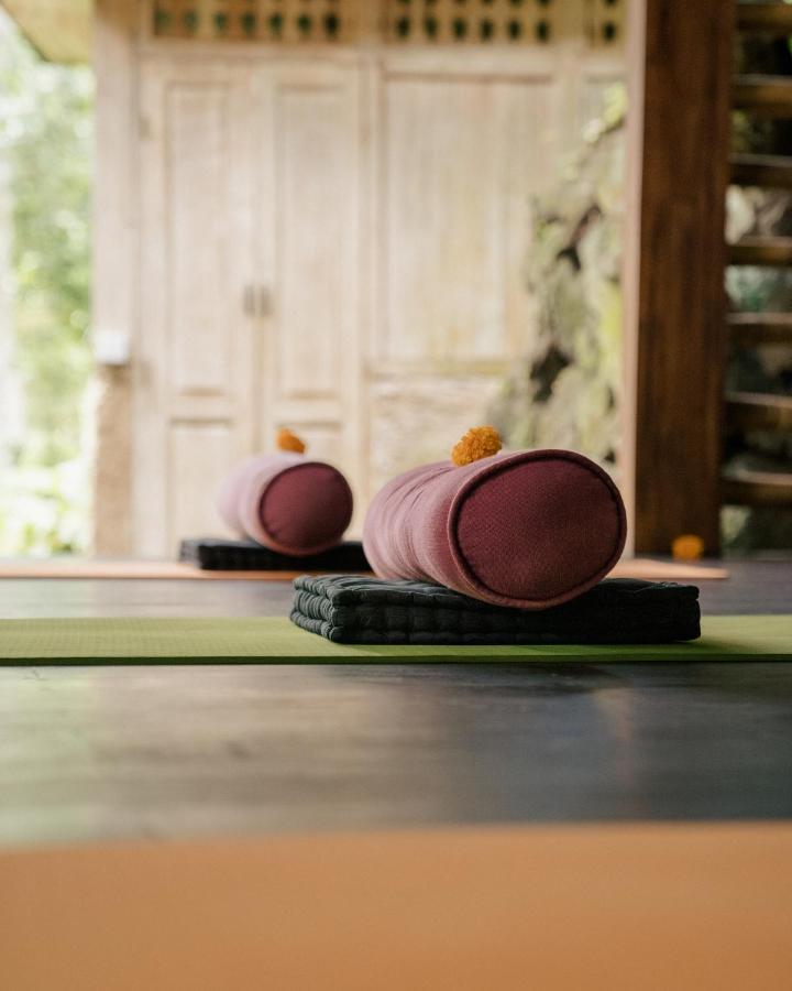 Отель Basundari Retreat Ubud Экстерьер фото